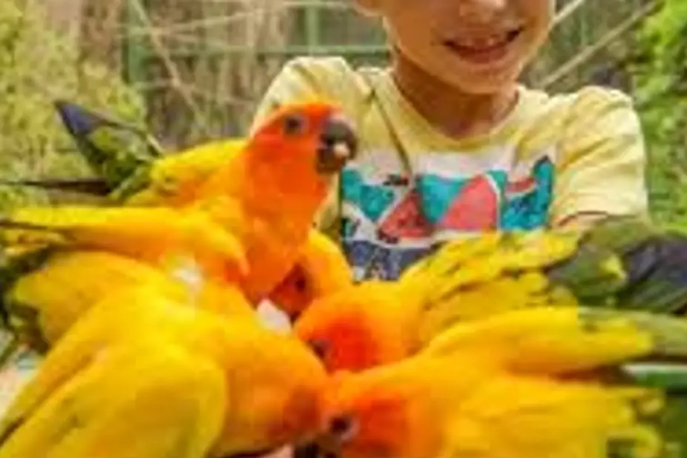 Phuket Bird Park Ticket — photo 5